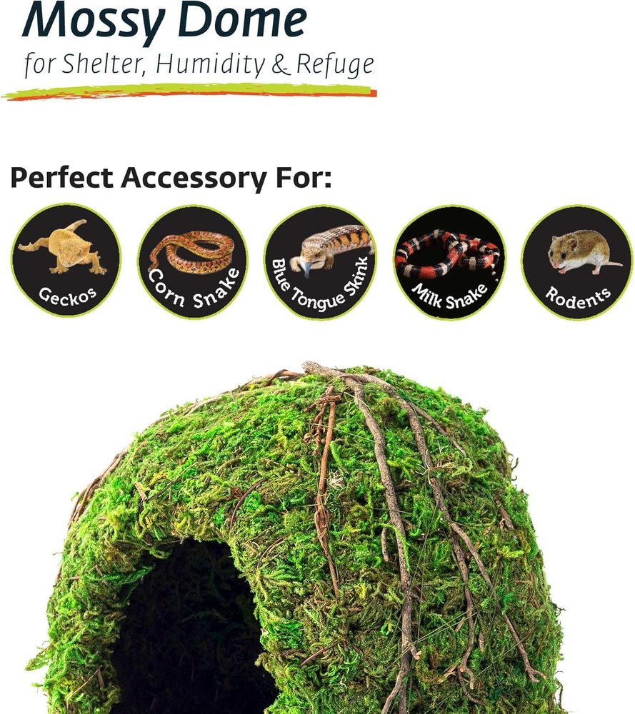(05366 Mossy Dome Hide, 6 In, Green