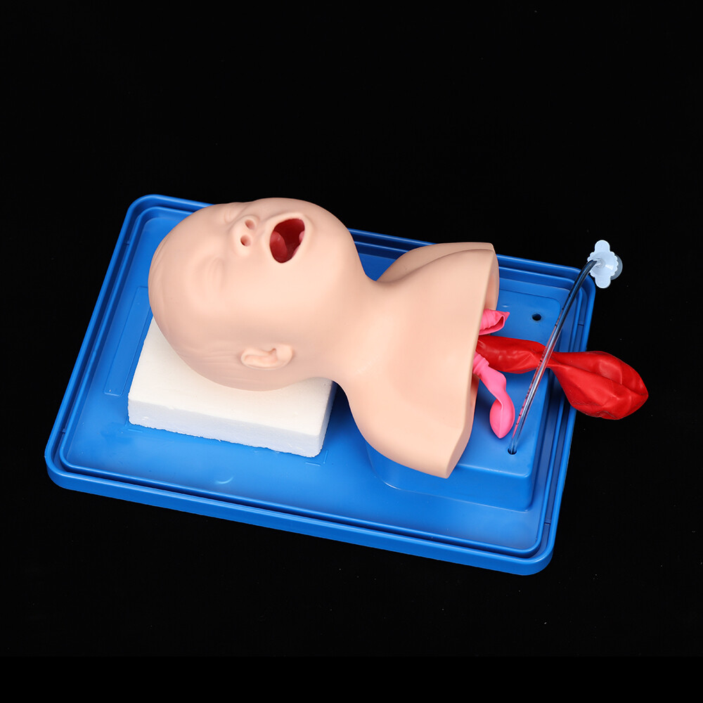 Intubation Manikin Study Baby Infant Teaching Airway Management Trainer Model