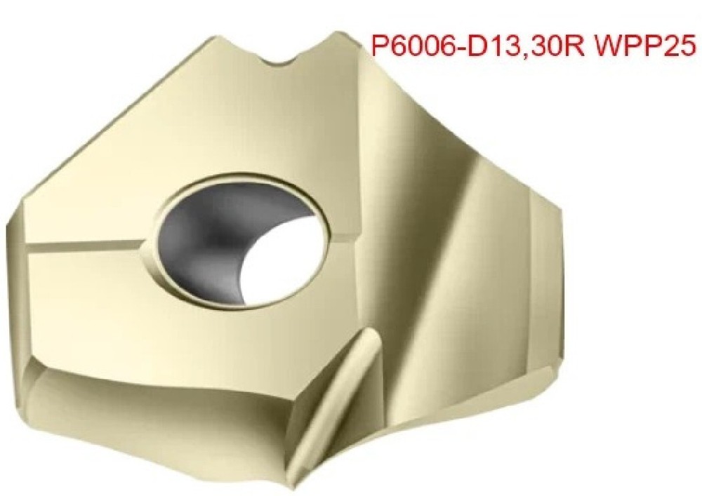 1 PCS  ORIGINAL  INSERTS        P6006-D13,30R WPP25