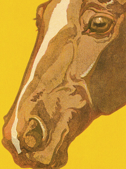 "Are You Fond of Horses?" US Army Veterinary Medicine Corps WWI Poster - 18x24