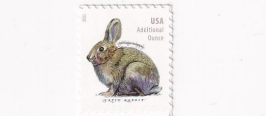 STAMP US SCOTT 5544 "Brush Rabbit Additional Ounce" 20 CENT 2021 MNH