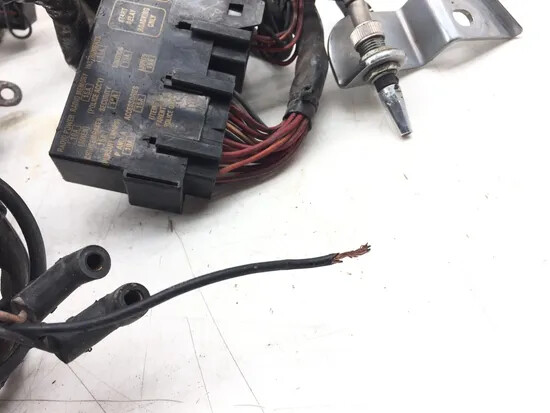 Main Engine Wiring Harness 2003 Harley-Davidson Electra Glide EFI FLHTI 3205 x
