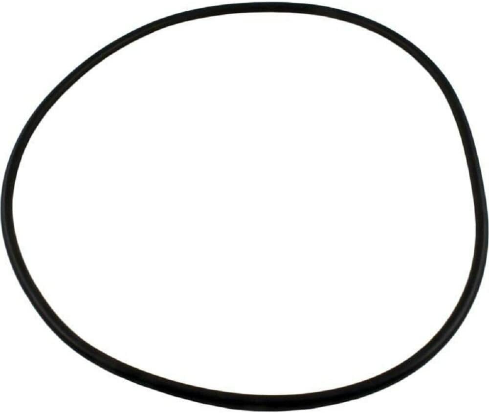 Waterway 805-0000 Crystal Water O-Ring