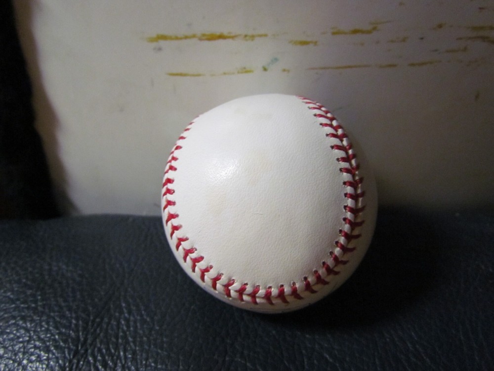 Tom Garzelanny Signed Baseball PSA Certified