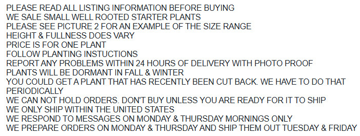 Ruby Thunderstruck Crape Myrtle Starter Lagerstroemia Rooted "STARTER" Plant