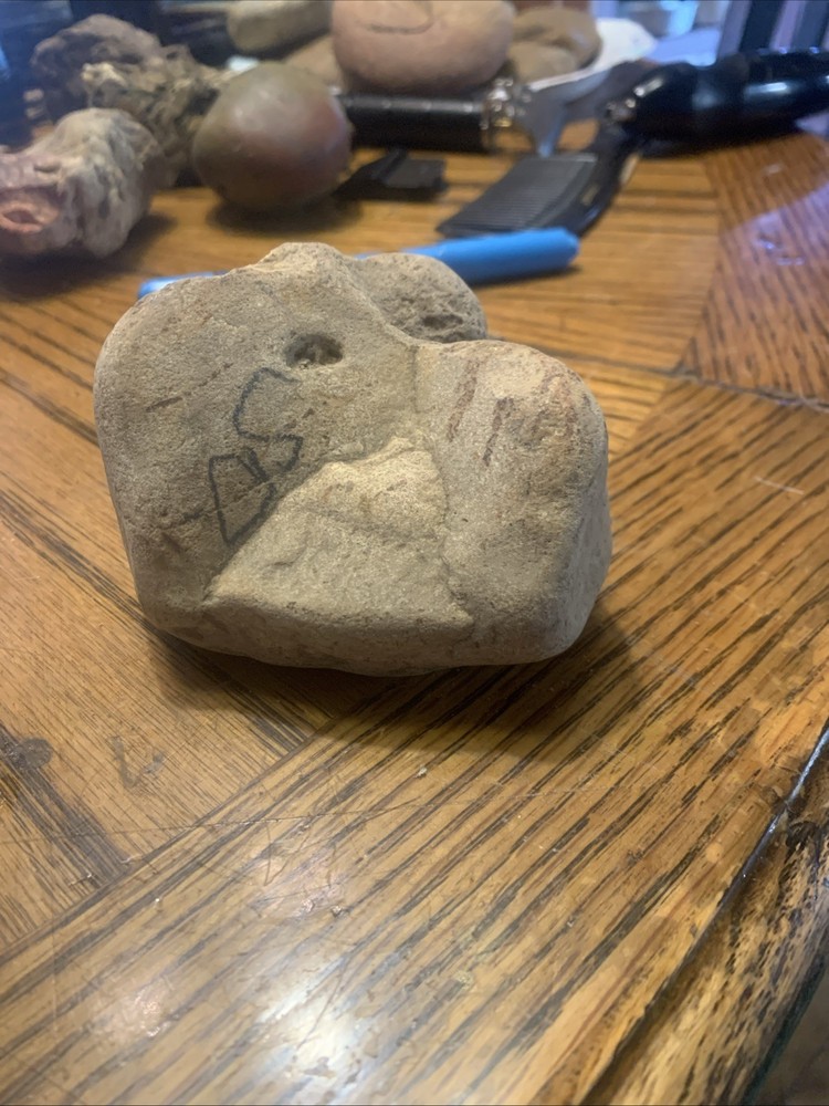Fossils