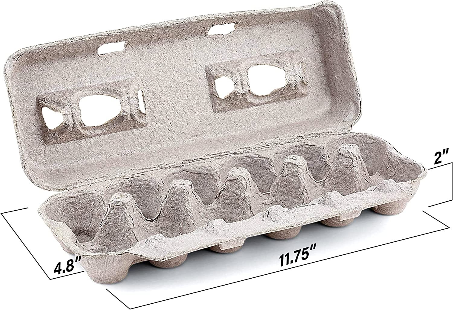 MT Products 12 Compartment Blank Natural Pulp Egg Cartons - Pack of 25