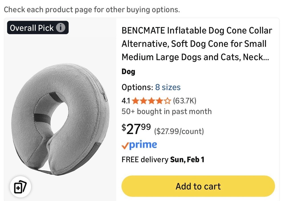 inflatable dog bone collar