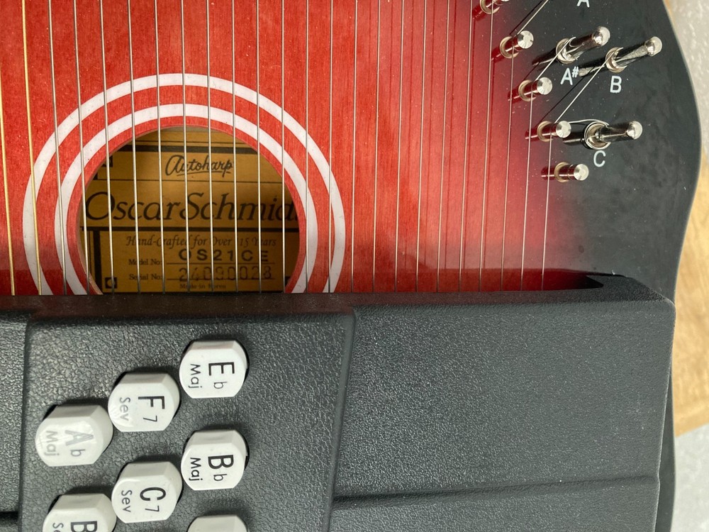 Oscar Schmidt OS21CE 21 Chord Autoharp(dent & broken string) Missing power cord