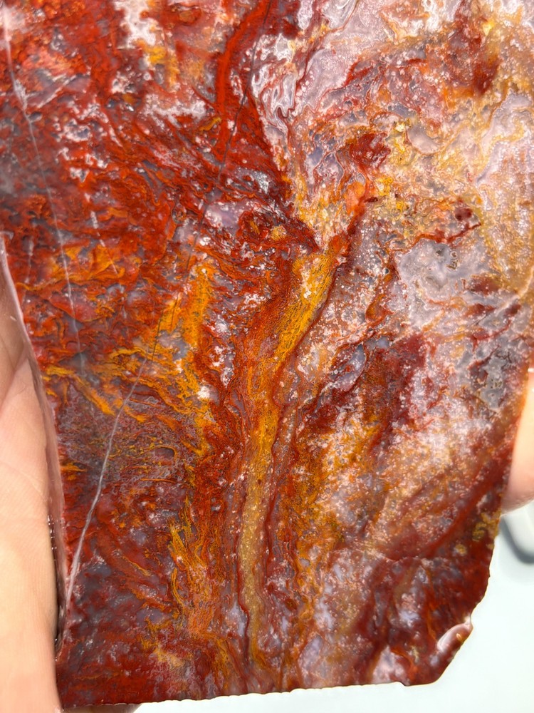 Mexican Red Moss Agate Slabs Lapidary Cabbing Combo Ship Avail