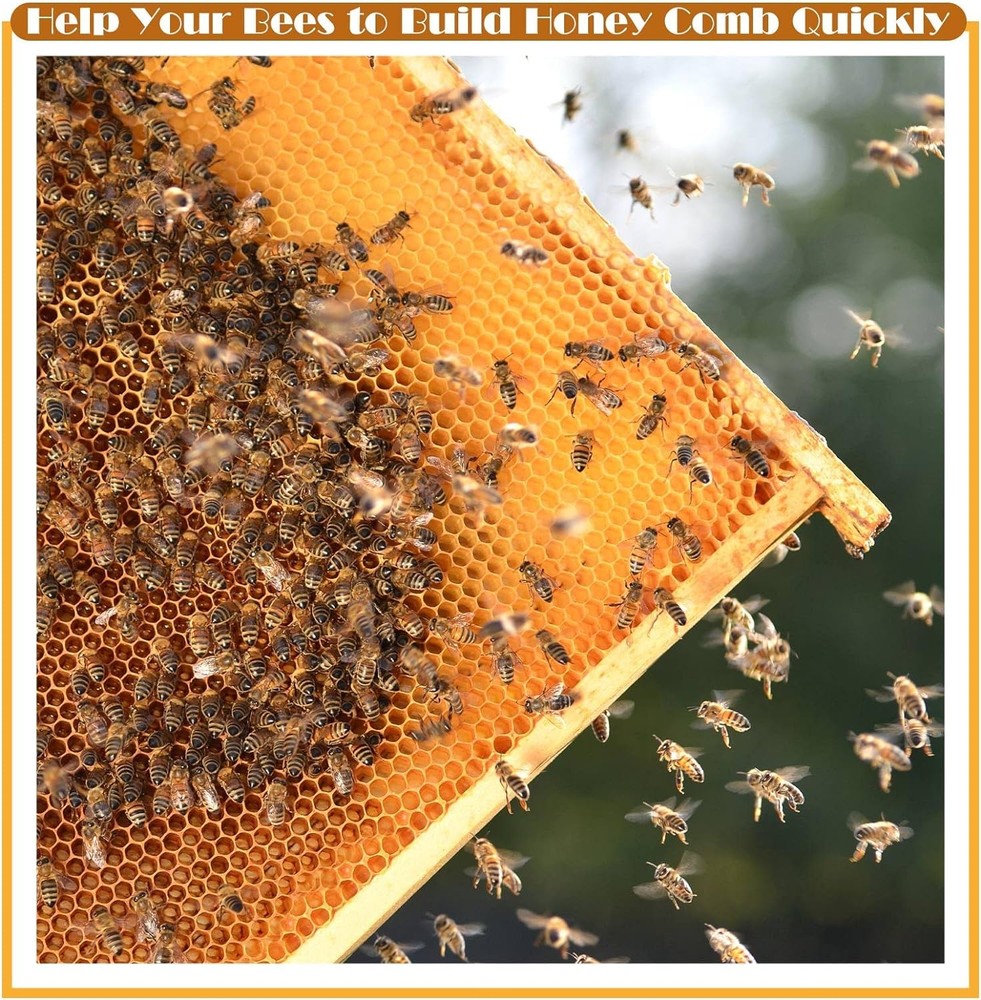 20 Assembled Beehive Frames, Coated Beeswax Foundations For Beekeeping