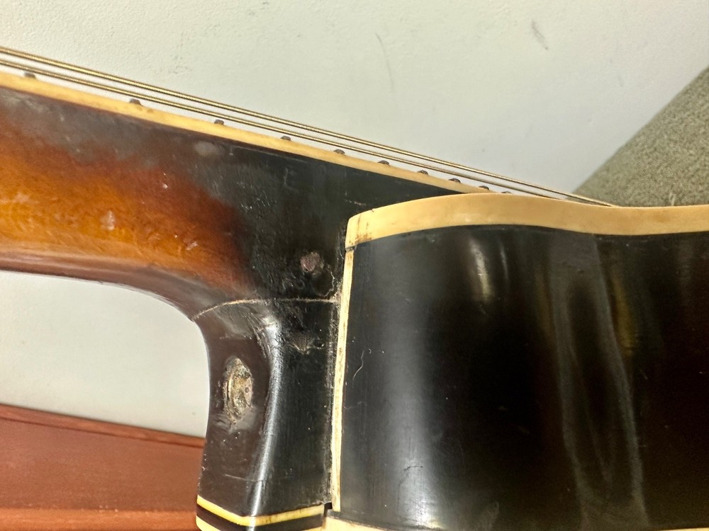 Rare 1959 Echo Mandolin designed by Franz Schwarzer