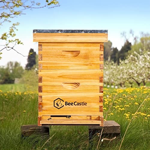 10-Frames Complete Beehive Kit, 100% Beeswax Coated Bee Hive Includes Beehive