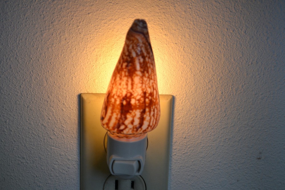 CONUS GEOGRAPHUS SEA SHELL NIGHT LIGHT BATHROOM KITCHEN #7910