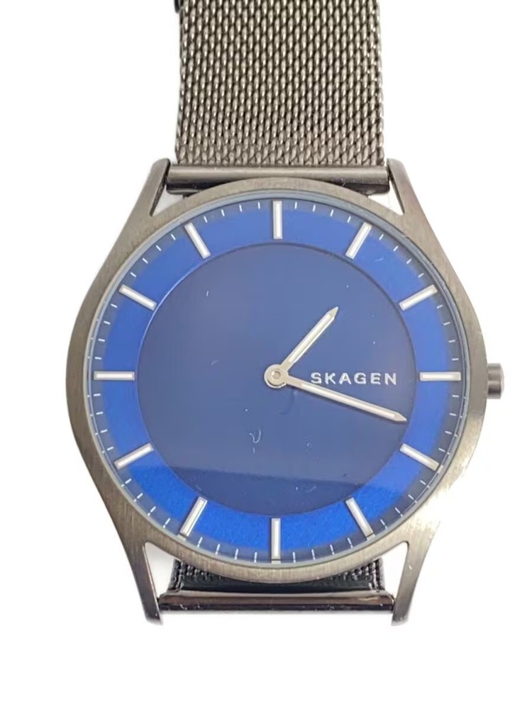 SKAGEN Watch Analog Stainless BLU