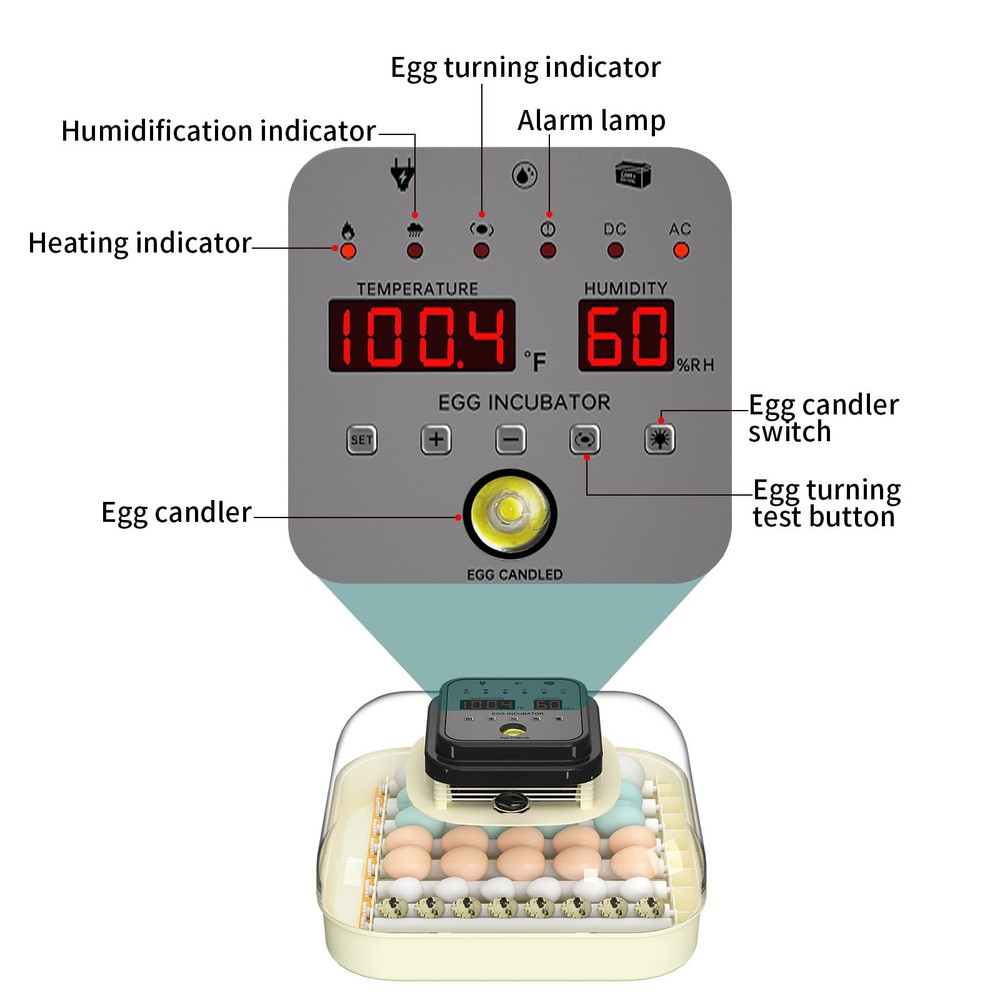 CoInceptus 35 Egg Incubator with Automatic Egg Turning and Humidity Control, ...