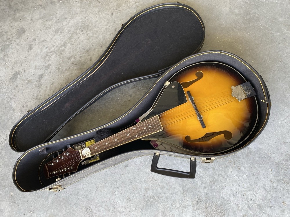 Mandolin with Hard Case – Ready to Play!