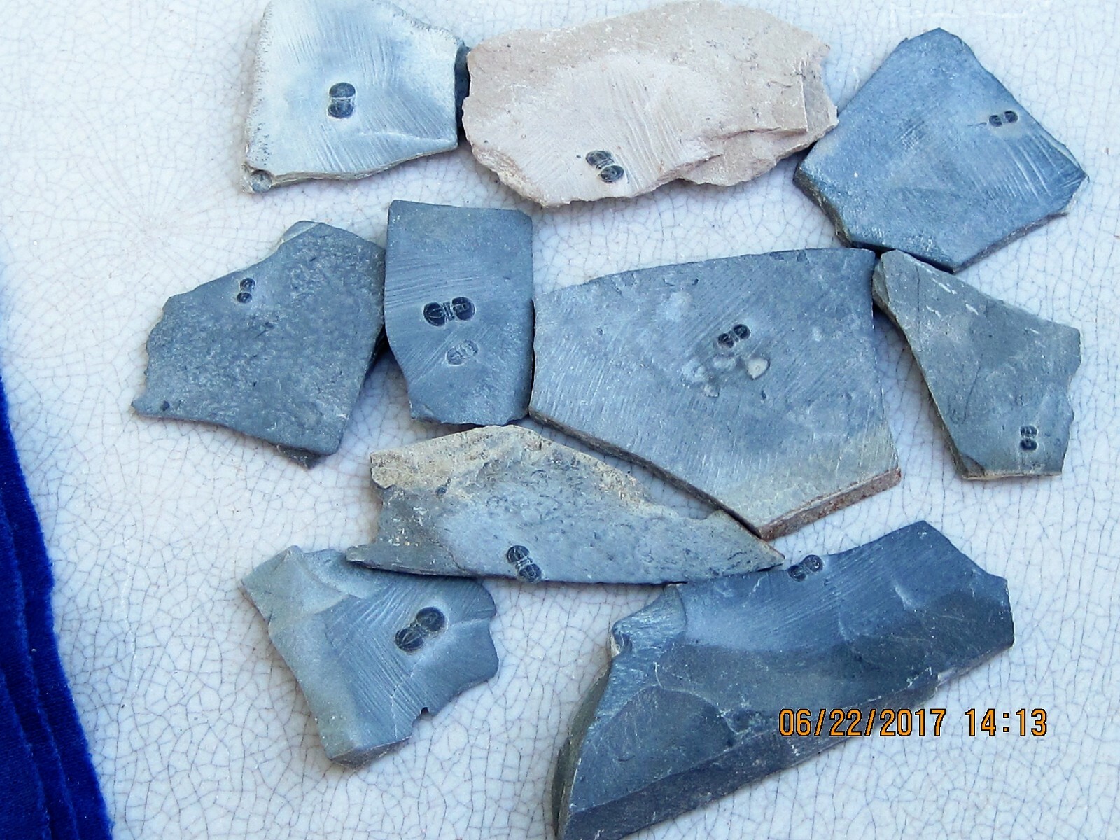 LOT OF 250 FOSSILS 25 of 10 DIFFERENT WHOLESALE