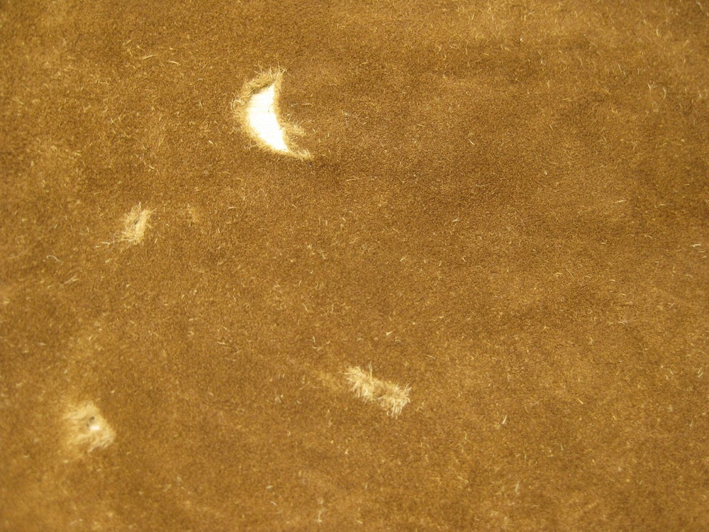 Suede Buffalo Leather # 0010414 Row 48
