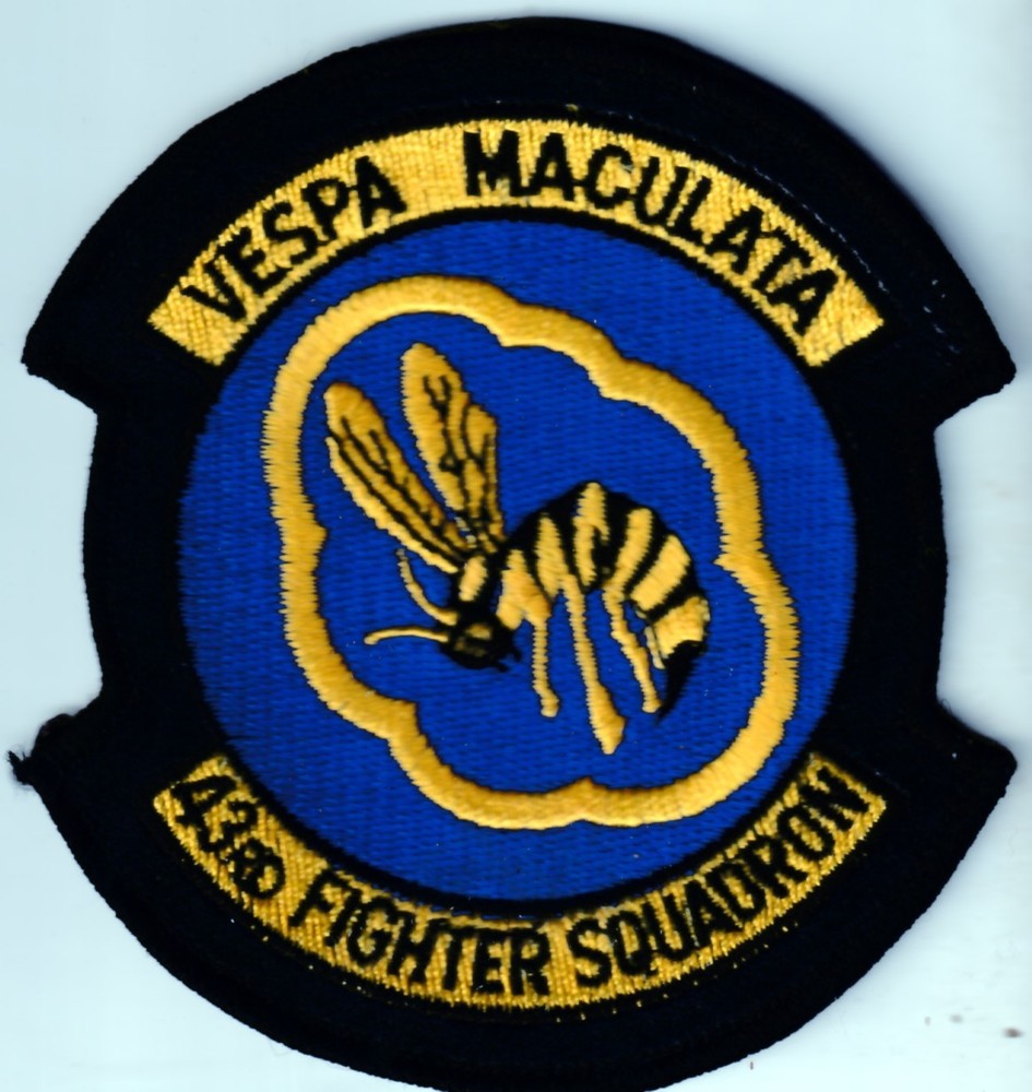 USAF AIR FORCE 43d Fighter Squadron Tyndall AFB Florida Leather patch