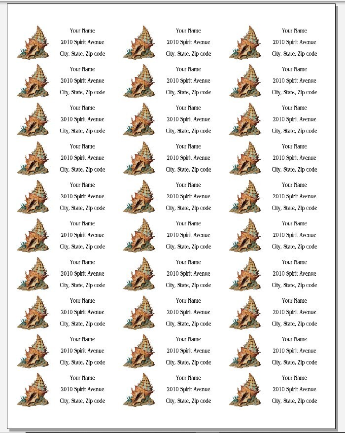 150 Beautiful Conch Shell Beach Mailing Return Address Labels Personalized