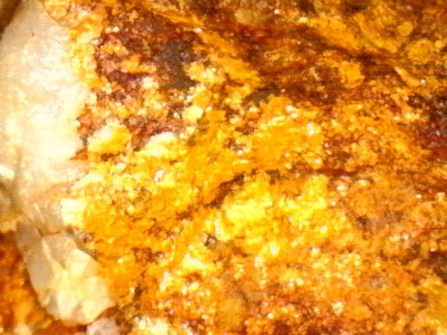 Gold Ore Specimen /Quality Visible Gold