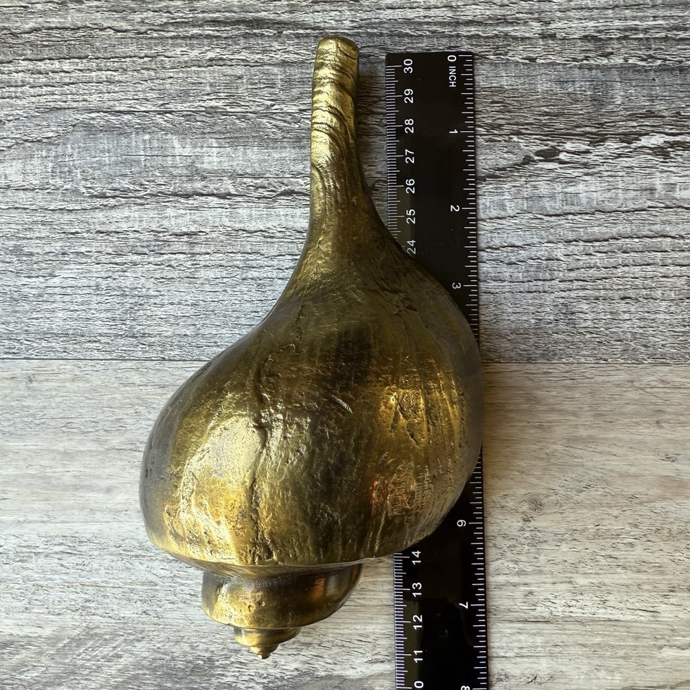 Colby Smith MCS Brass Channel Pear Conch Shell Door Knocker Wall Art