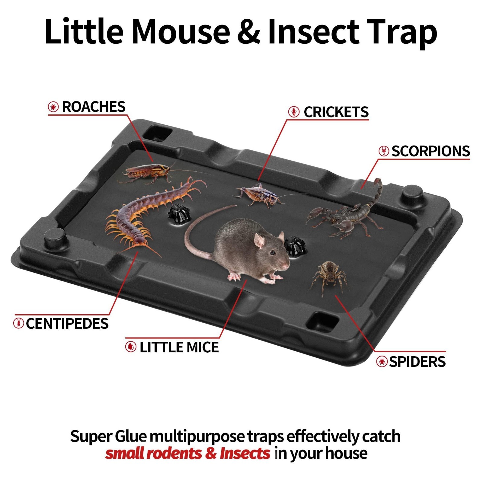 12 Pack Sticky Mouse Traps Indoor – LULUCATCH Non-Toxic Glue for Mice & Insects.
