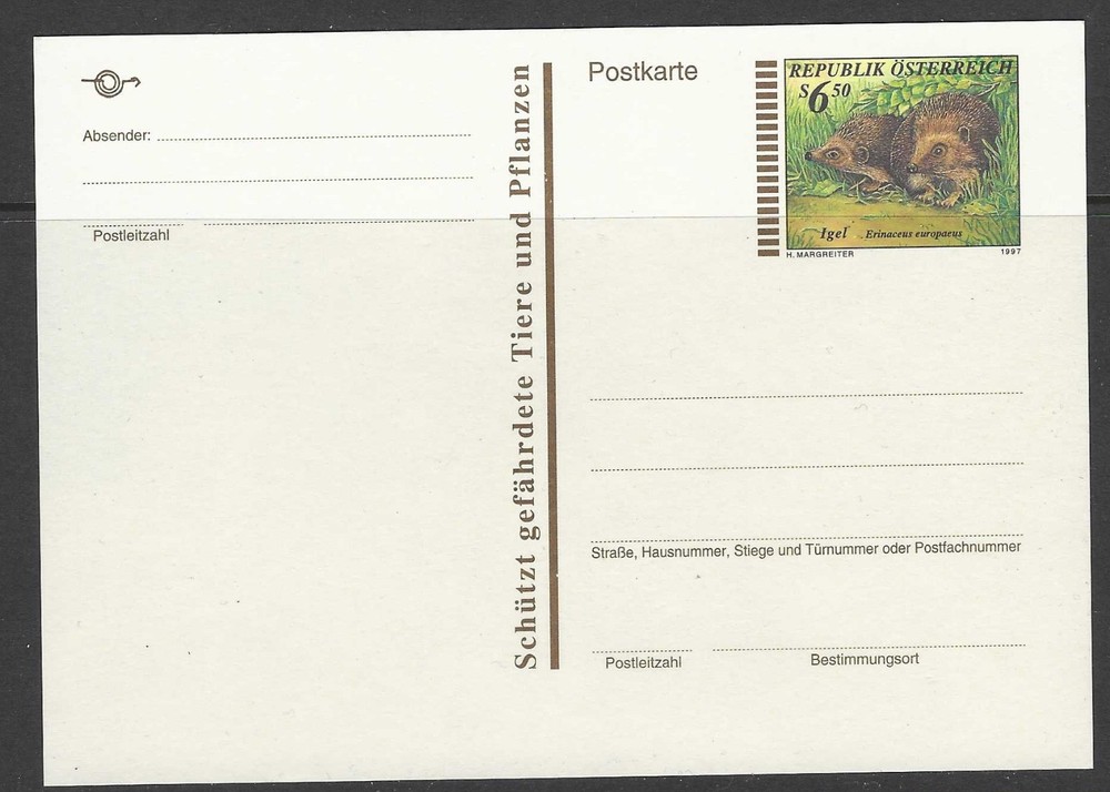 Austria 1997  postcard hedgehog  unused (n069)