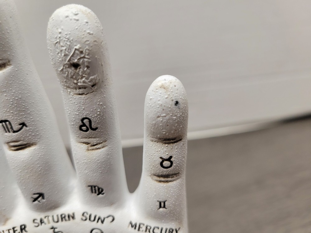 Fortune Tellers Hand