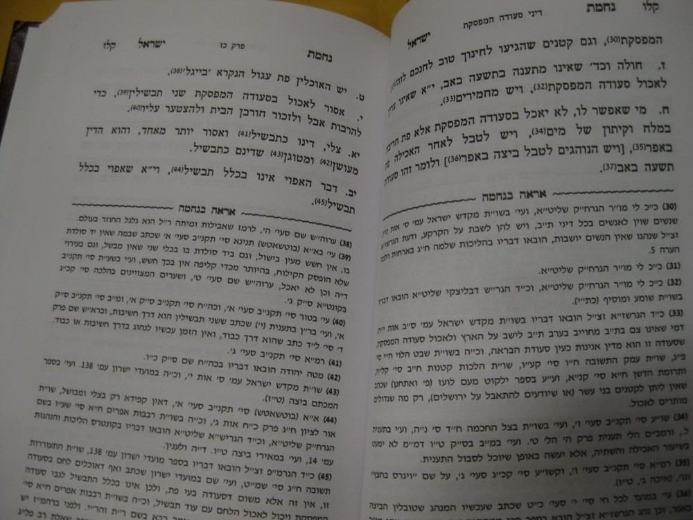 Nechamat Yisrael on BEN HAMETZARIM - DEVLITZKY נחמת ישראל : דיני ימי בין המצרים