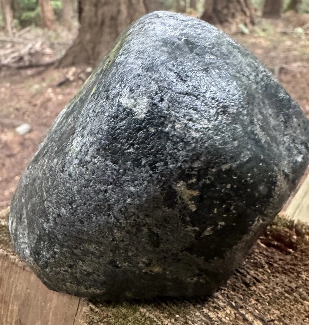 1.06kg Crab Concretion –Rare Blue-Slate Preservation Premium Blakeley Formation