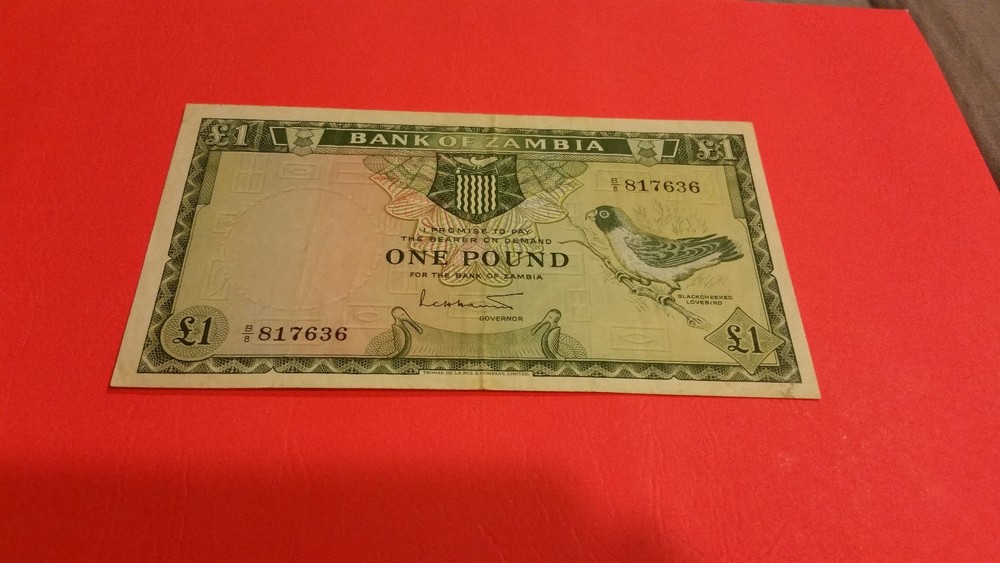 Zambia 1 pound original high grade