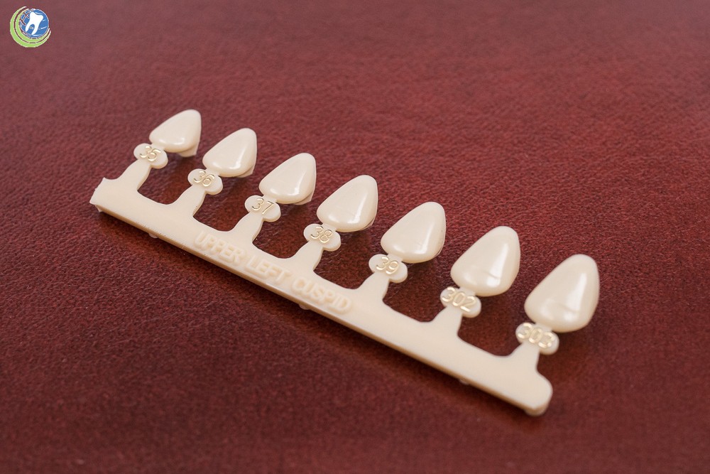 #11 & #22 Tooth Left Upper Lower Cuspid Polycarbonate Crowns Caps Refills 7Sizes