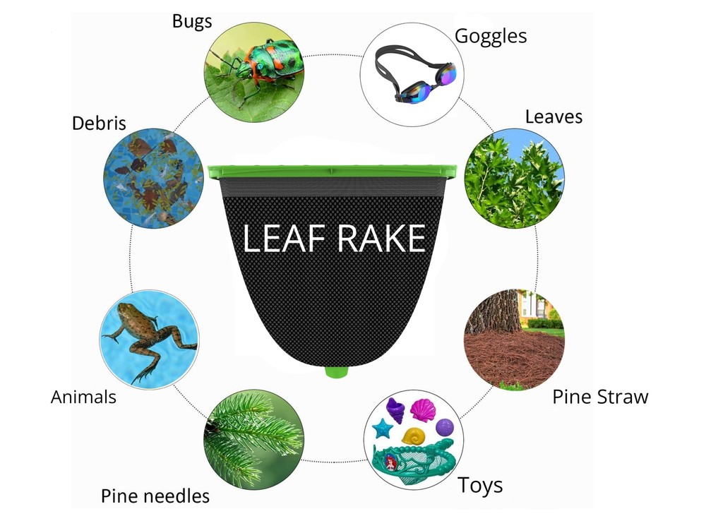 Mr. Frog "Freddy" Leaf Rake Net