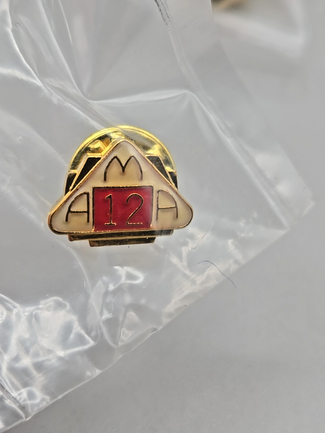 Collection of 17 AMA American Motorcycle Association Membership Pins. New