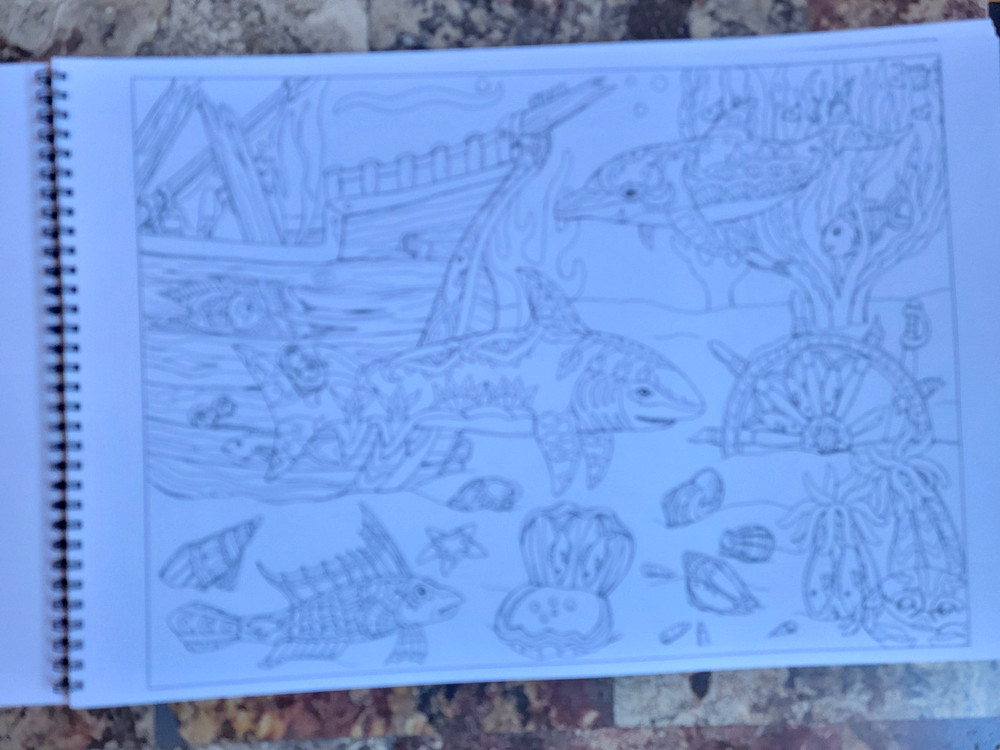 'Color Me 4' Coloring Book by P. J. C Smart