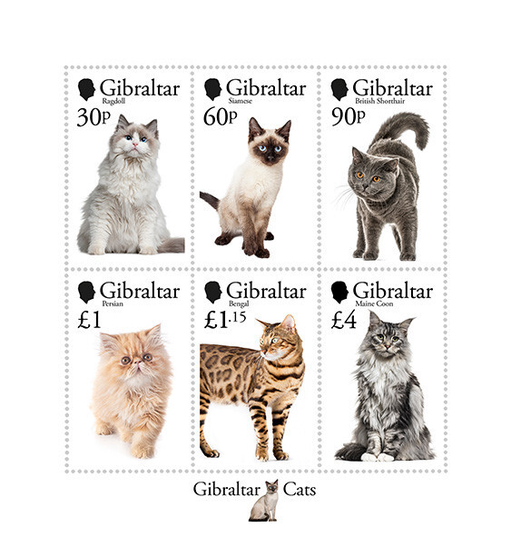 Gibraltar - Cats (MS)