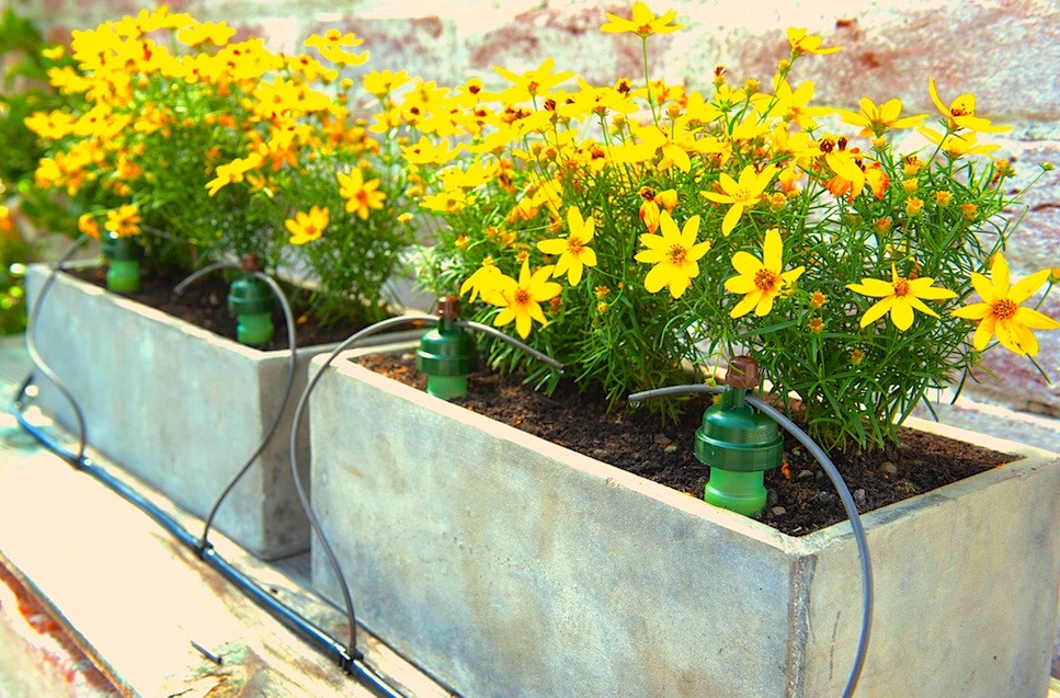 Blumat Medium Watering Kit (12 Pack) - Automatic Self-Drip Irrigation System