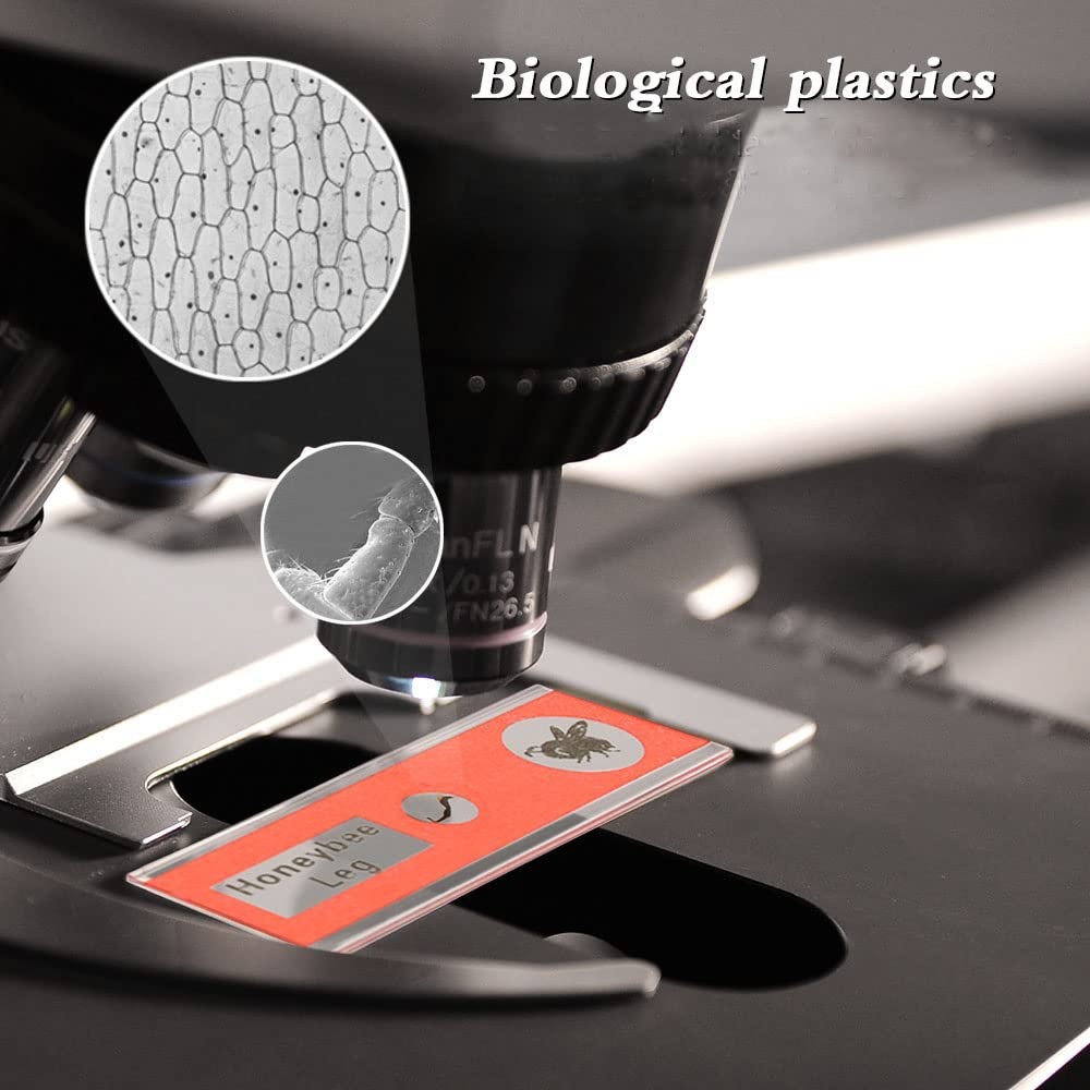 Prepared Plastic Microscope Slides with Specimens for Kids, Microscope Sample Sl