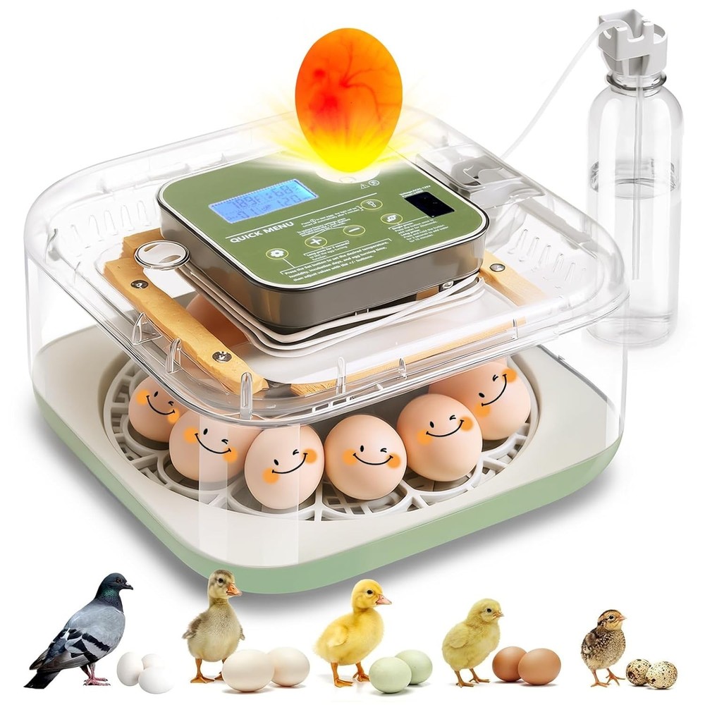 Incubator for Hatching Eggs Automatic Humidity and Temperature Control 12 Egg...