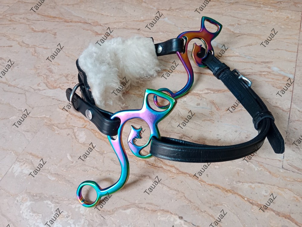 Hackamore with Multi Color shank & two different styles nose bands real leather