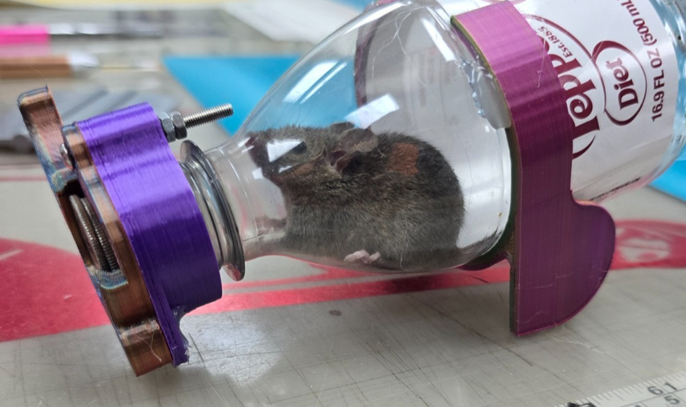 Mouse Catch Trap 100% Sanitary Never Buy Another Mouse Trap 100% Reusable 2 Pack