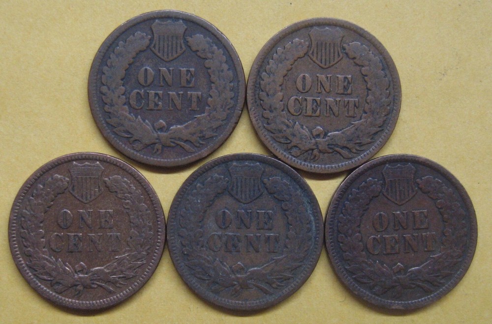 Five Indian Pennies with Five Different Dates--ALL in Good+ Take a Look
