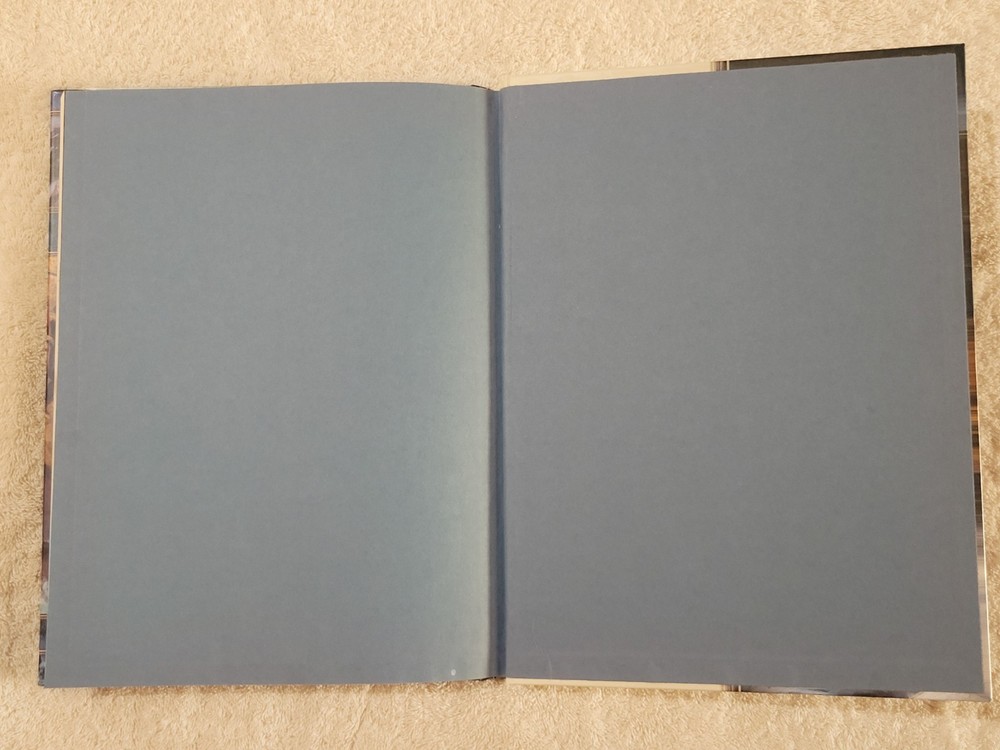 Dungeons & Dragons 4e Neverwinter Campaign Setting Including Map