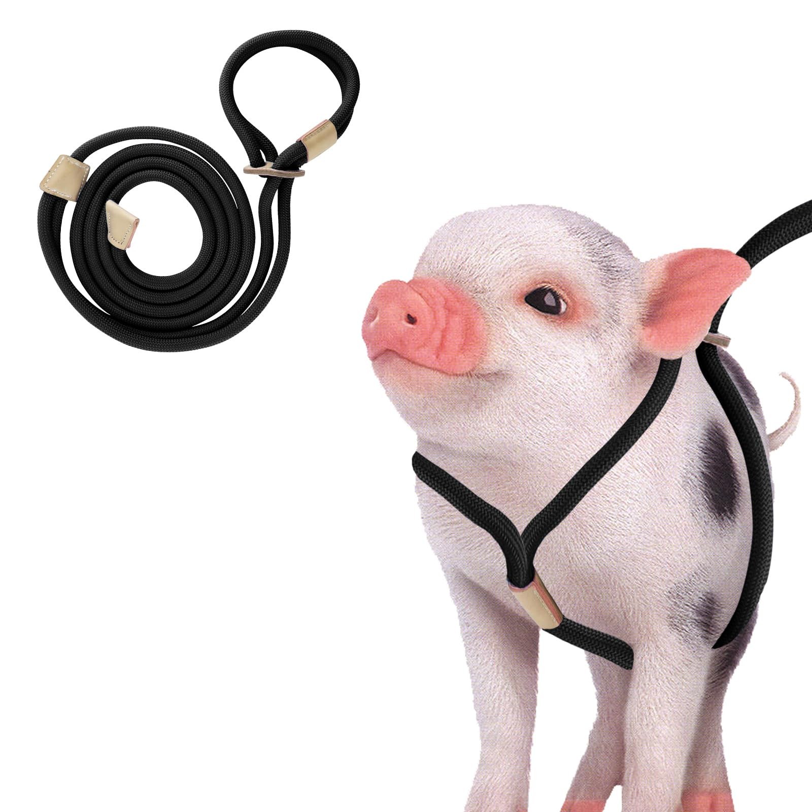 Pig Harness with Adjustable 8 Feet Leash for Small to Medium Pet Pigs Pet