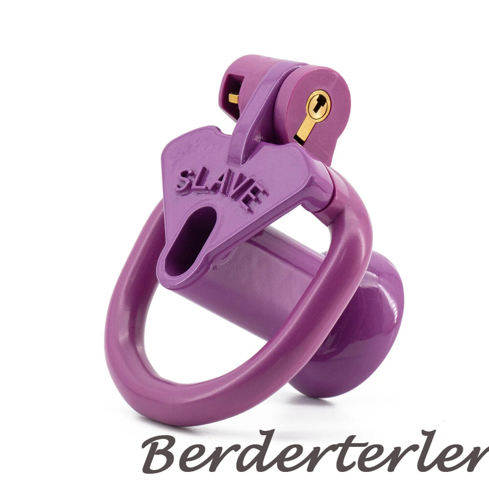 Sissy Positive/Negative Mini Chastity Cage Lock with Plug Slave 4 Sizes Rings