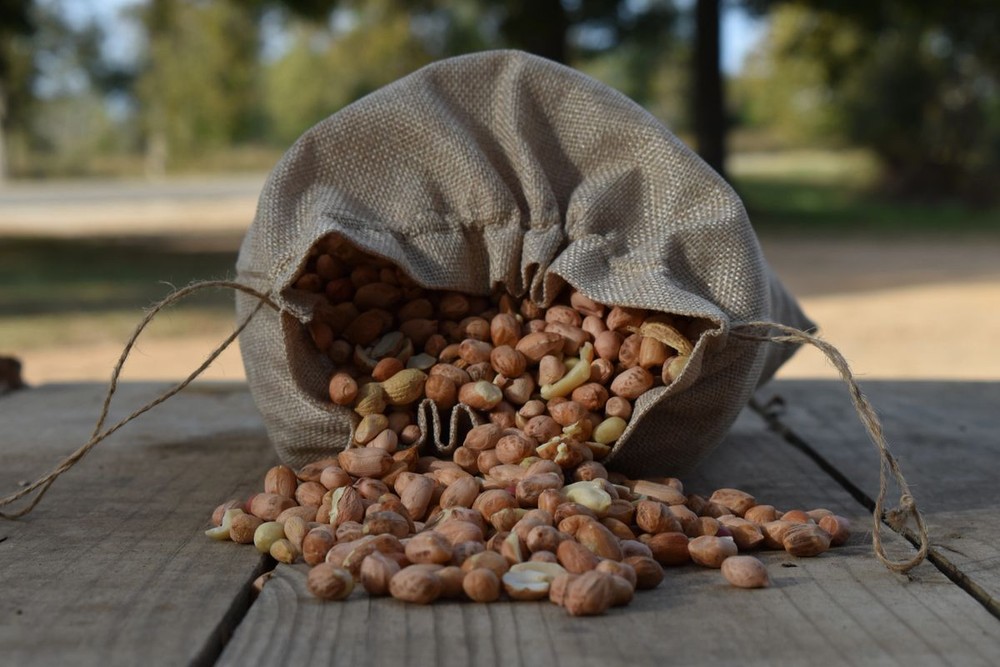 Feeder Mix Attractant