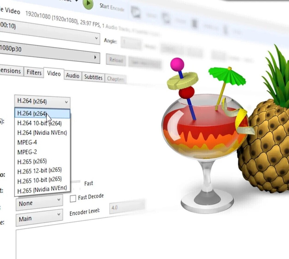 Pro 2025 Video Converter Software - Transcode Compress & Rip USB or DVD Windows