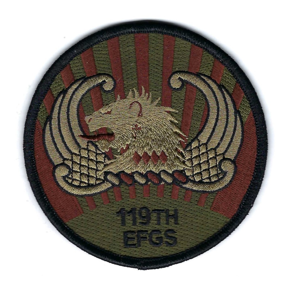 119th EXPEDITIONARY FIGHTER GENERATION SQUADRON OCP patch